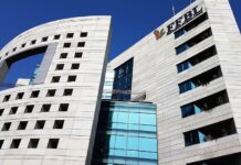 Fauji Fertilizer Bin Qasim delisted from PSX following merger with FFC