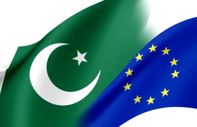 EU-Pakistan Forum delayed due to escalating conflict between Pakistan, India
