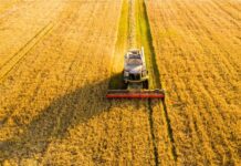 Chinese investors irked by slow progress in agricultural partnership under CPEC due to bureaucratic hurdles