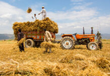 Sindh launches initiatives to combat climate change in agriculture