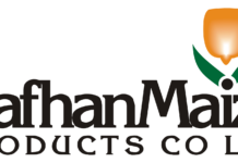 Rafhan Maize profit dips 8.5% amid cost squeeze, declares hefty dividend rafhan maize