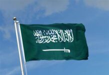 Saudi Arabia’s PIF writes down $8 billion on gigaprojects amid challenges