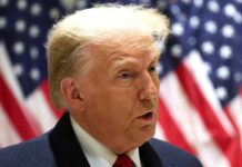 Trump to meet Netflix co-CEO Ted Sarandos, source says