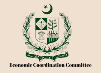 ECC tightens car import schemes, reviews circular debt plan and approves CPI-linked fuel margins