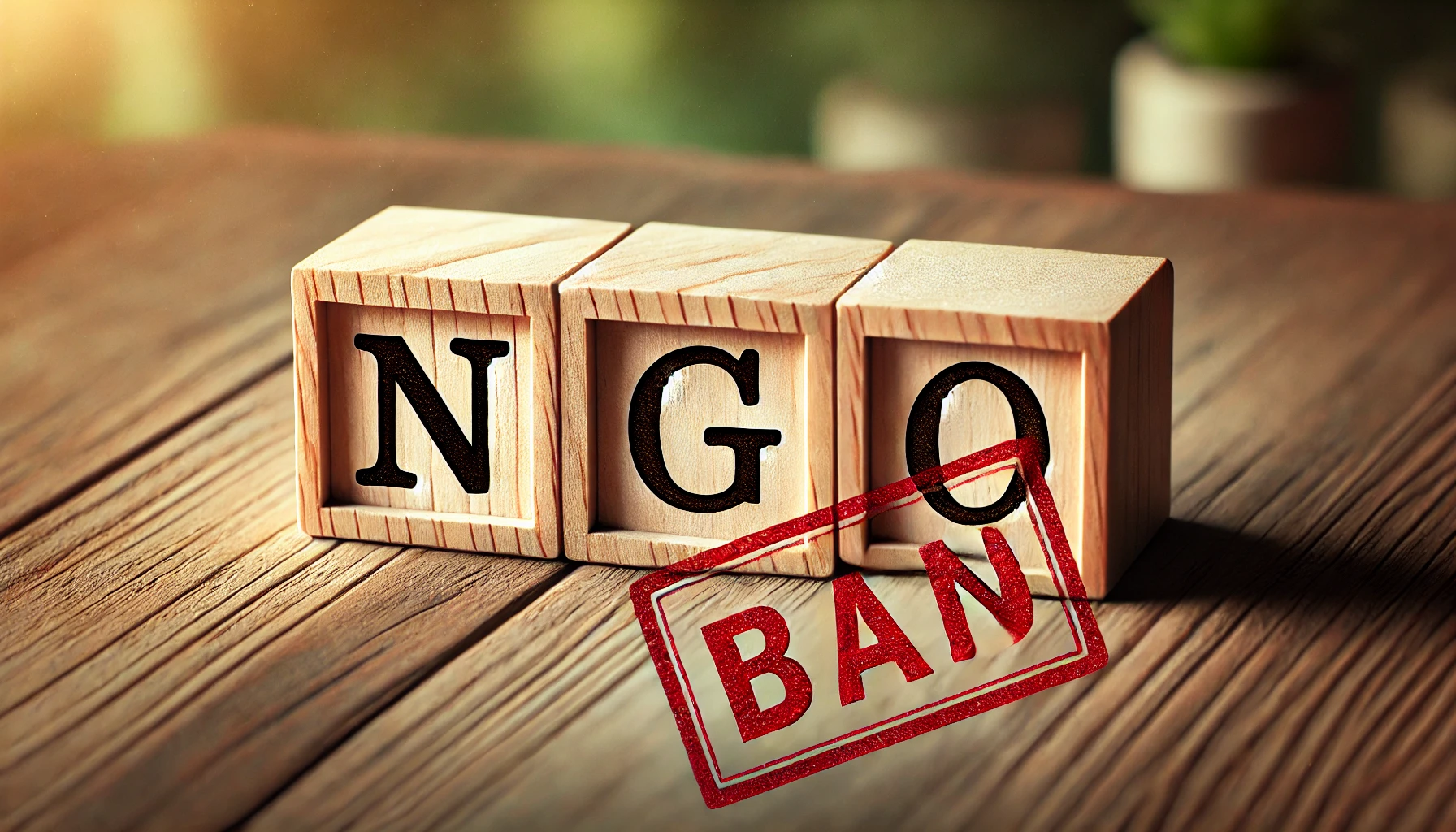 Interior Ministry directs action against non-compliant INGOs