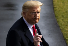 Trump calls Musk’s new political party ‘ridiculous’