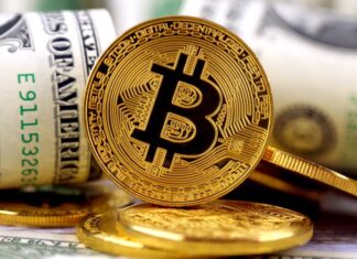 Crypto treasury companies pivot to fringe tokens, stoking volatility fears