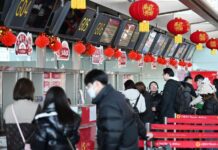 China expects record 9 billion trips during Lunar New Year travel