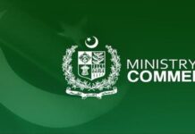 Commerce ministry distances itself from smuggling oversight, calls for cross-agency strategy