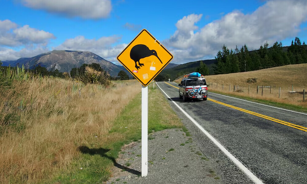 New Zealand to loosen visa rules to lure foreign investors