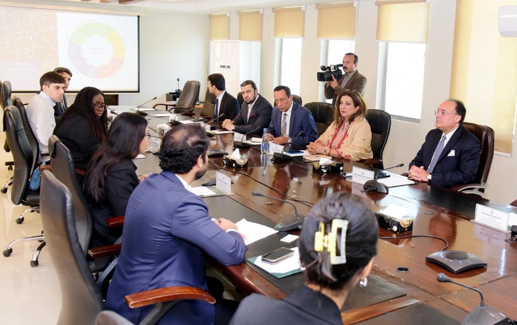 Pakistan, V20 climate group discuss financing for climate resilience