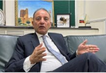 Musadik Malik urges green hydrogen, warns EVs alone won’t cut transport emissions