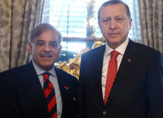 Pakistan, Turkiye agree to deepen cooperation across political, economic and defence sectors