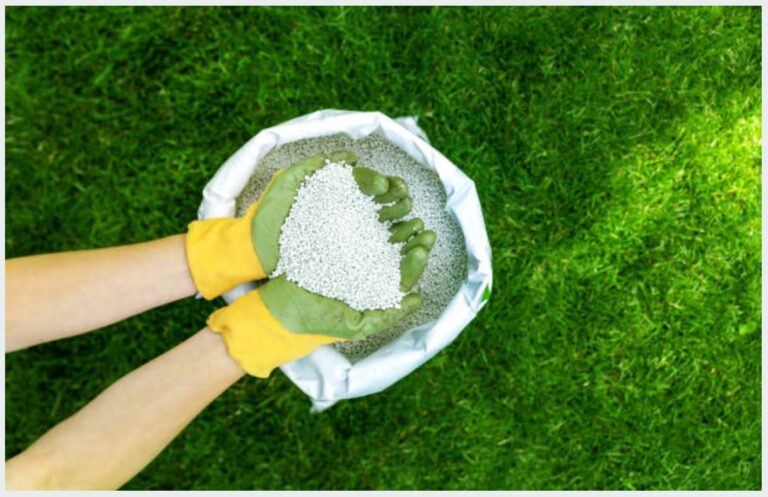 Fertilizer makers urge government to drop proposed tax hike in FY26 budget