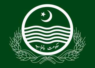 Punjab cabinet authorises establishment of Air Punjab Private Limited