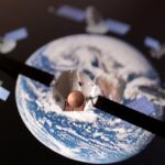 Elon Musk’s Starlink faces competition as China plans 15,000 satellites Elon Musk’s Starlink faces competition as China plans 15,000 satellites