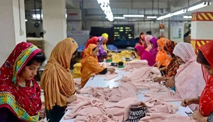 Govt to integrate women-linked industries, businesses with SME sector