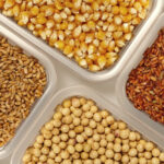China raises grain production target to 700 million metric tons China raises grain production target to 700 million metric tons