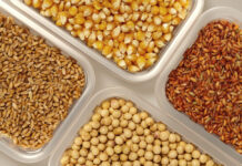 China raises grain production target to 700 million metric tons