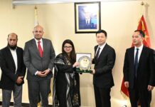 Pakistan, China strengthen digital cooperation with focus on 5G, AI, and data centres