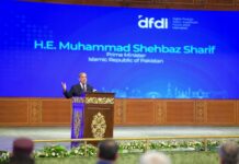 Pakistan secures $700 million in foreign investment pledges for IT sector