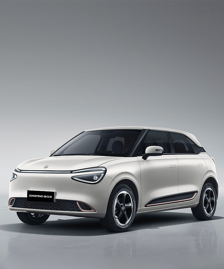 Dongfeng Box EV Launched Twice in Two Months in Pakistan as Distributors Clash Over Rights