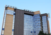 Systems Ltd and the economics of immobility