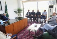 Government considers PFMA’s request for wheat product trade