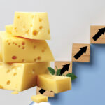 Cheese