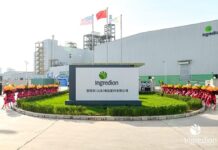 Ingredion considering offers for a sale of Rafhan Maize majority stake