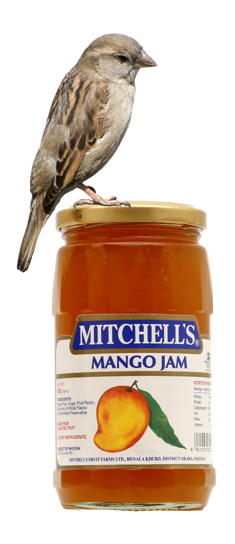 Sethi gets the job done at Mitchell’s