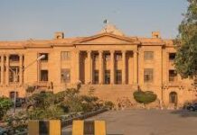 SHC questions appointment of a customs officer as DG agri-trade and food safety authority
