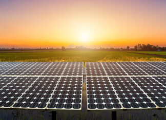 Sindh orders probe into World Bank–funded solar project over alleged fraud