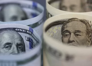 Dollar steady as growth worries tempered by hopes shutdown may end soon