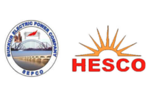 Pakistan hires Turkish adviser for sell-off of two power distributors