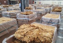 Tobacco exports crosses $100 million amid push for policy certainty