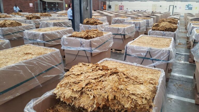 Tobacco exports crosses $100 million amid push for policy certainty