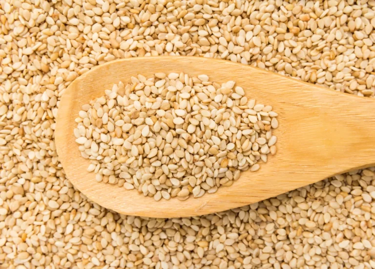 Pakistan’s sesame exports to China rise 87% to $68.5 million in Jan–Sep 2025