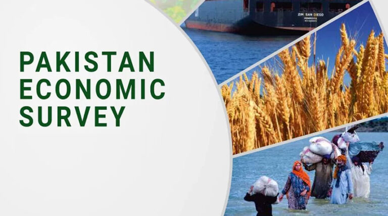 Finance minister to unveil Pakistan Economic Survey 2024-25 today 