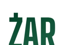 Brandon Timinisky’s new venture Zar raises $7M to bring stablecoins to local shops worldwide