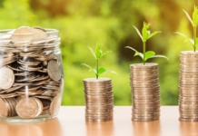 Govt notifies updated Public Finance Management Act to boost fiscal discipline and transparency