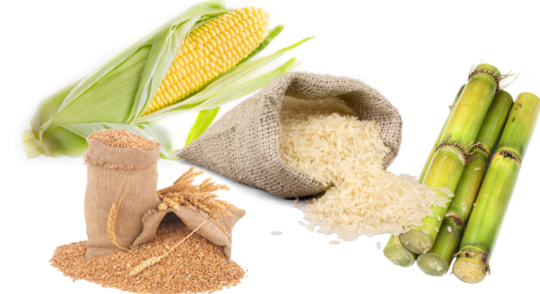 Planning Commission warns of higher food imports next year due to 13.5% contraction in key crops