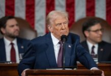 Musk joins Senate Republicans in rejecting Trump’s new tax plan