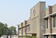 PEL revenue bounces back to record highs