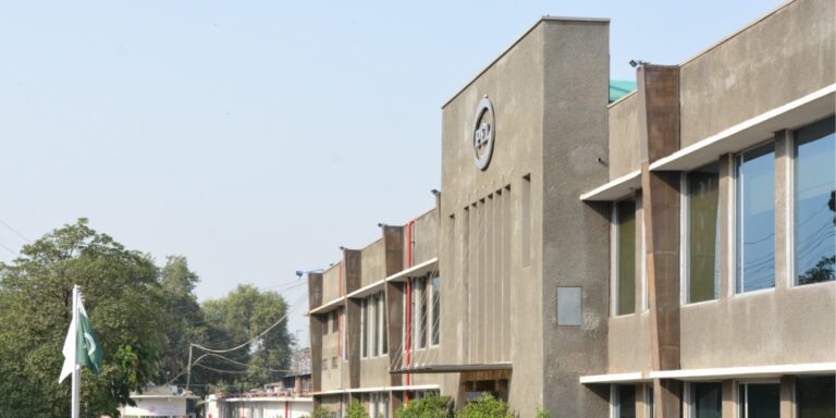 PEL revenue bounces back to record highs