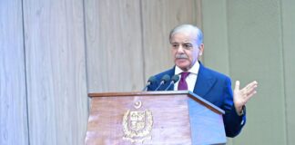 Shehbaz directs ministries to draw up investment roadmap across key sectors