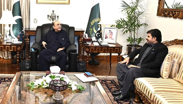 Sindh energy minisiter briefs president on Sindh’s power and planning concerns