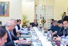 PM Shehbaz approves development of digital ecosystem within FBR