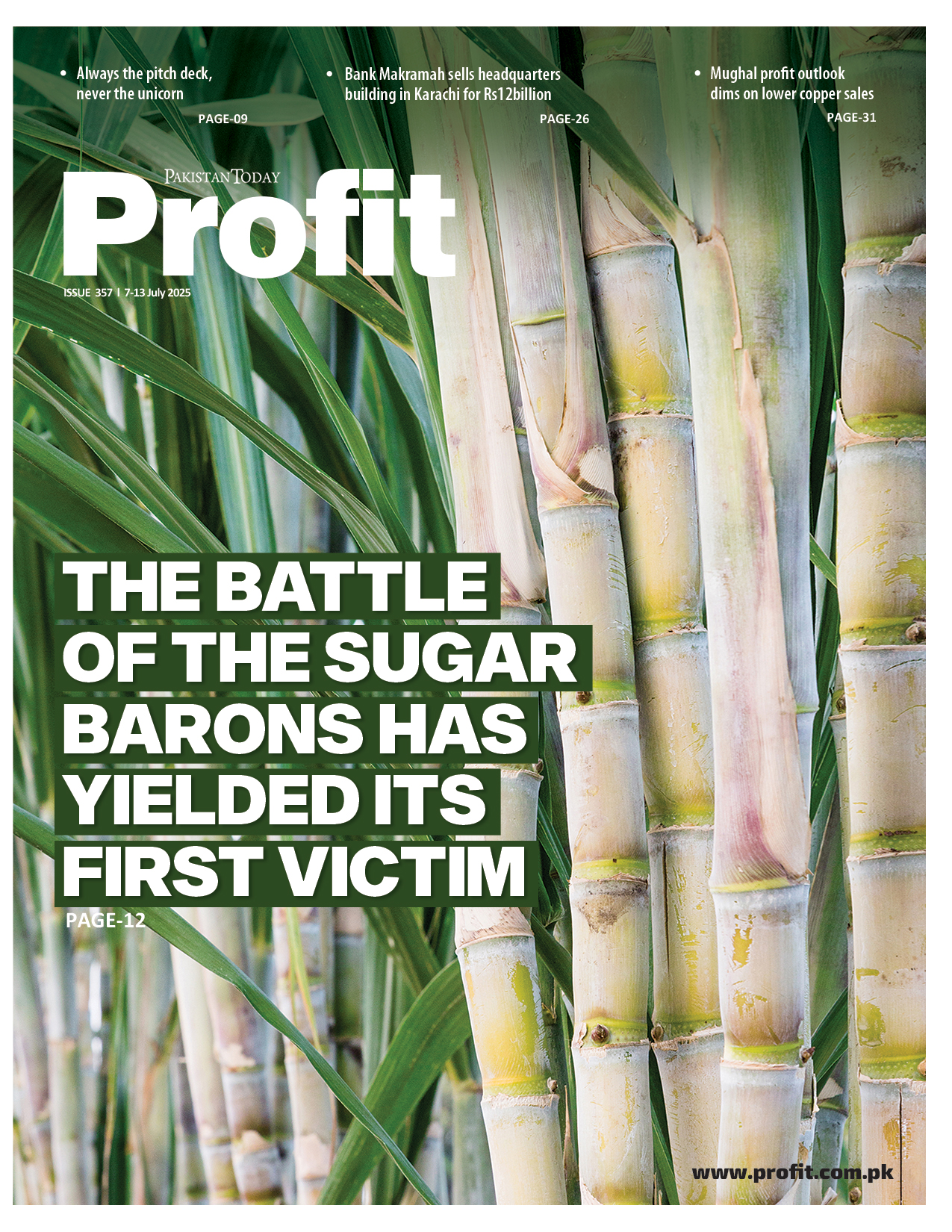 Profit E-Magazine Issue 357