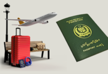 Pakistan’s brain drain costs economy $4.2 billion annually despite growing remittances: report